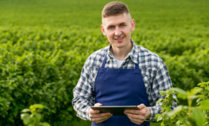 Read more about the article Dr. Henry Cabrera’s Love for Lavender Blossoms into a Thriving Business in South Kingstown, Rhode Island